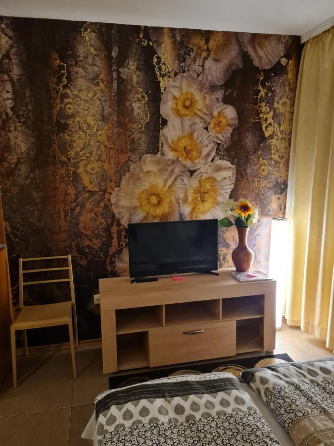 Borovets Holiday Apartments - Different Locations In โบโรเวทส์ ภายนอก รูปภาพ